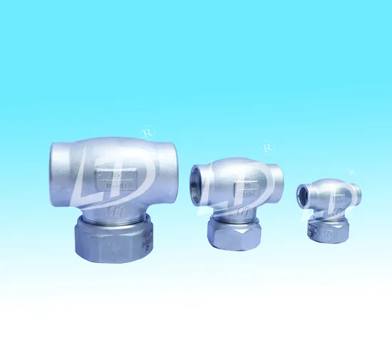 Cryogenic Check Valve for Cryogenic Storage Tank